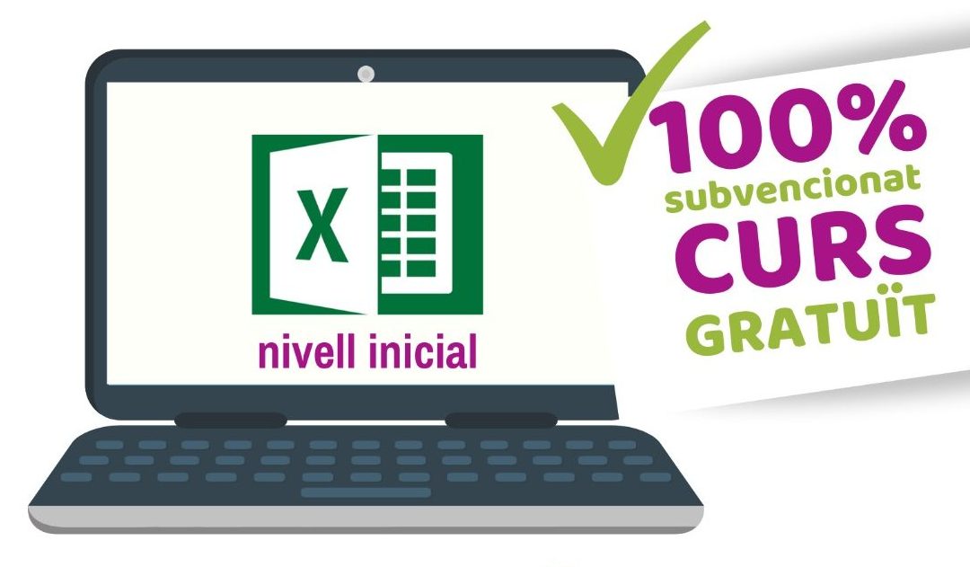 🎓CURS EXCEL 2016 INICIAL 🌎💻 ON-LINE