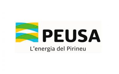 PEUSA – servei factura elèctrica